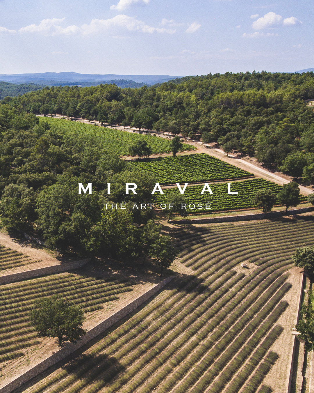 Where the vines meet the sky. #miraval #provence #rosé #vin #wine #theartofrosé