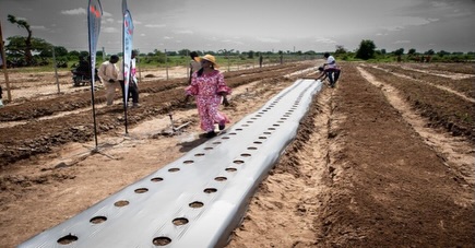 A tailor should not need millions of naira to buy industrial machines before she can grow her business, neither should a food processor have to build a factory before they can produce at scale. This is why I have made…