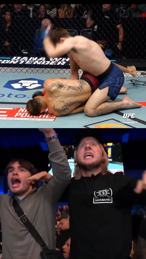 PADDY AND LUKE RILEY WERE HYPED FOR THEIR TEAMMATES 🤯 What a performance by @George.Staines1 at @DWCS! [ @TheUFCBaddy | @LukeRileyMMA ]