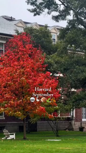 Sweet September 🍂