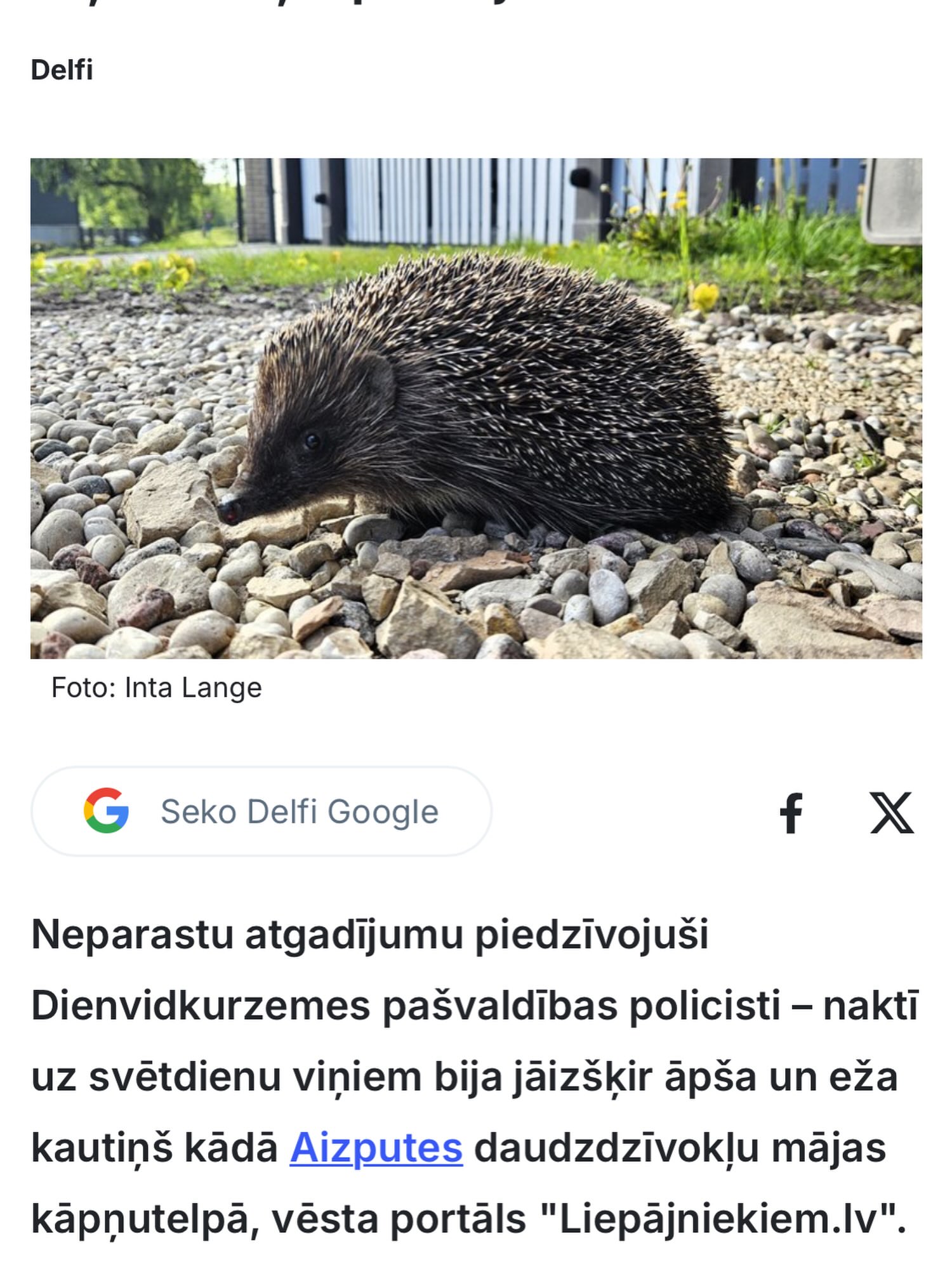 Par pašu svarīgāko notikumu pēdējo dienu laikā- eža un āpša kautiņu. Liekas, ka te tomēr neiztika bez vēlēšanu kaislībām: ”Partija nr. 32 sit partiju nr. 24. Ak, Dievs, kā sit.” /Pie bagātās kundzes/