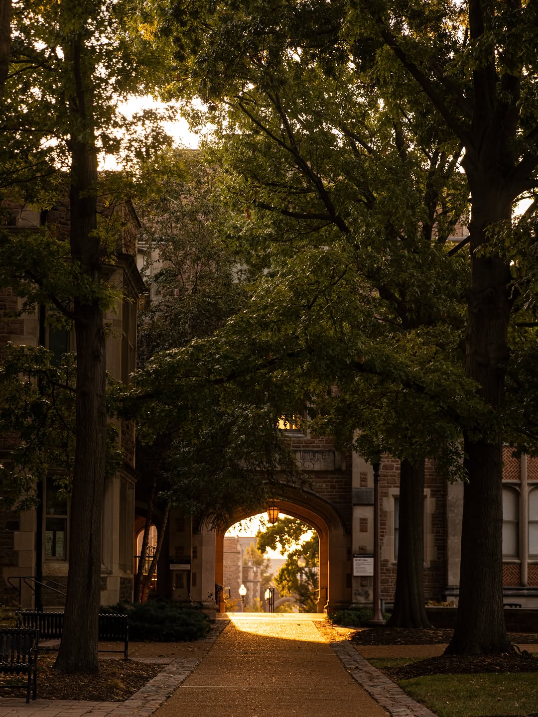 Hello October. 🍂🍁🍂 #WashU #stlouis #collegecampus #fall #autumn