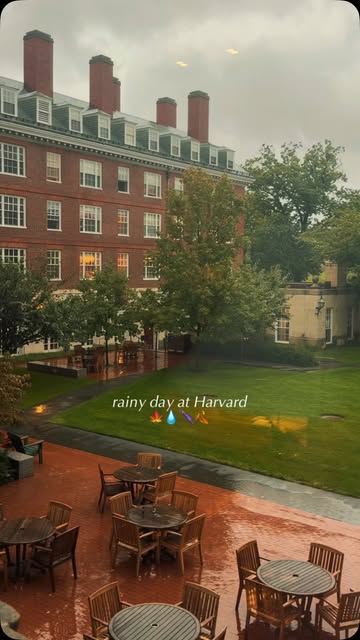 Rainy day moments ☔️