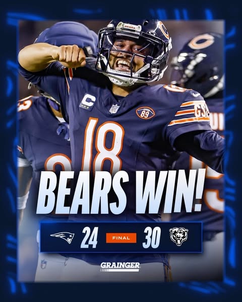 Bears After Dark™️
