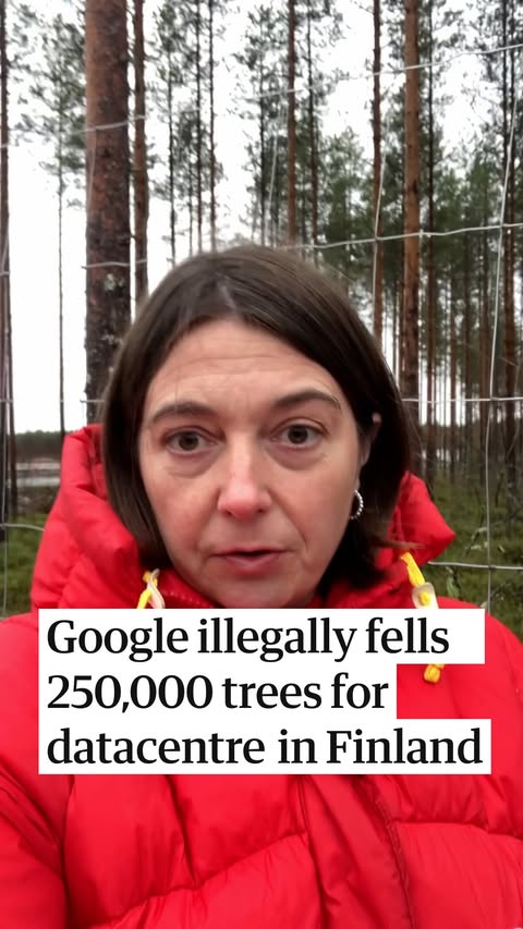 Before Google’s arrival a few months ago, an estimated quarter of a million trees occupied the 330 hectares (815 acres) of forest near the town of Muhos in rural northern Finland. Now they are all gone. The news that …