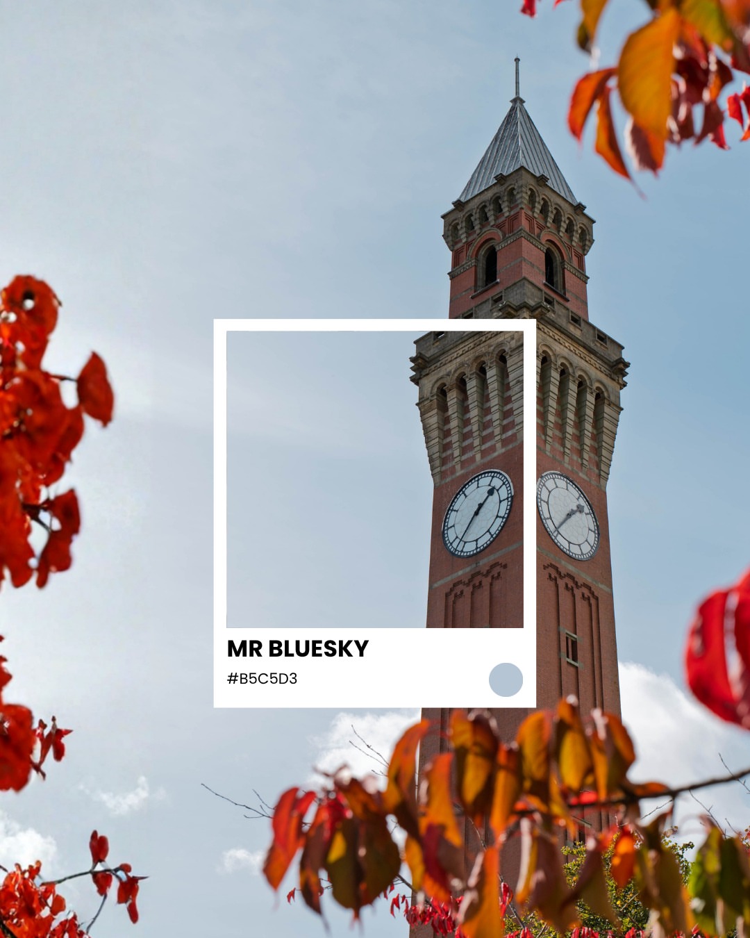 Campus is serving serious autumn vibes. 🍂✨ From golden leaves to that fresh, crisp air, we love our campus this time of year. Which campus spot do you love most in autumn? #universityofbirmingham #campuslife #autumnv…