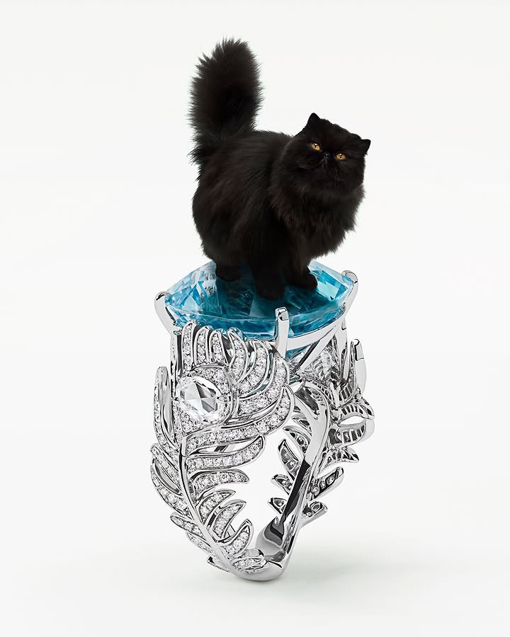 Cats of a feather. Wladimir posts proudly atop the Plume de Paon ring's oversize aquamarine, placed in a nest of diamond feathers.⁣ ⁣ #Boucheron #LesAnimaux