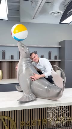 Chocolate Seal! 🦭 and chocolate beachball. #amauryguichon #chocolate