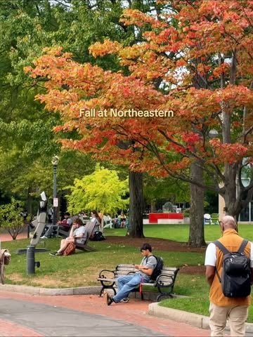 the trees are showing off again . . #Northeastern #NortheasternUniversity #Fall #Boston #Autumn