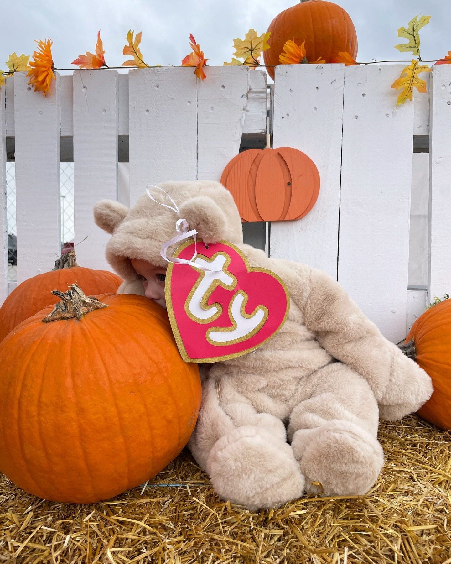 We’re not over how cute these little costumes are 🥹🎃 Tell us in the comments what your little one is dressing up as this Halloween! @leadphysio n_keyes @shannonnicholesmith @carriebeth98