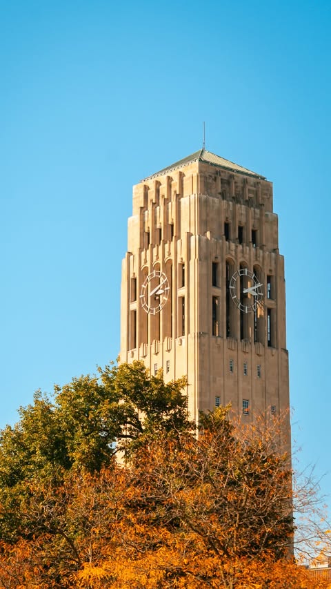 Fall foliage in Ann Arbor is peak 🍂
