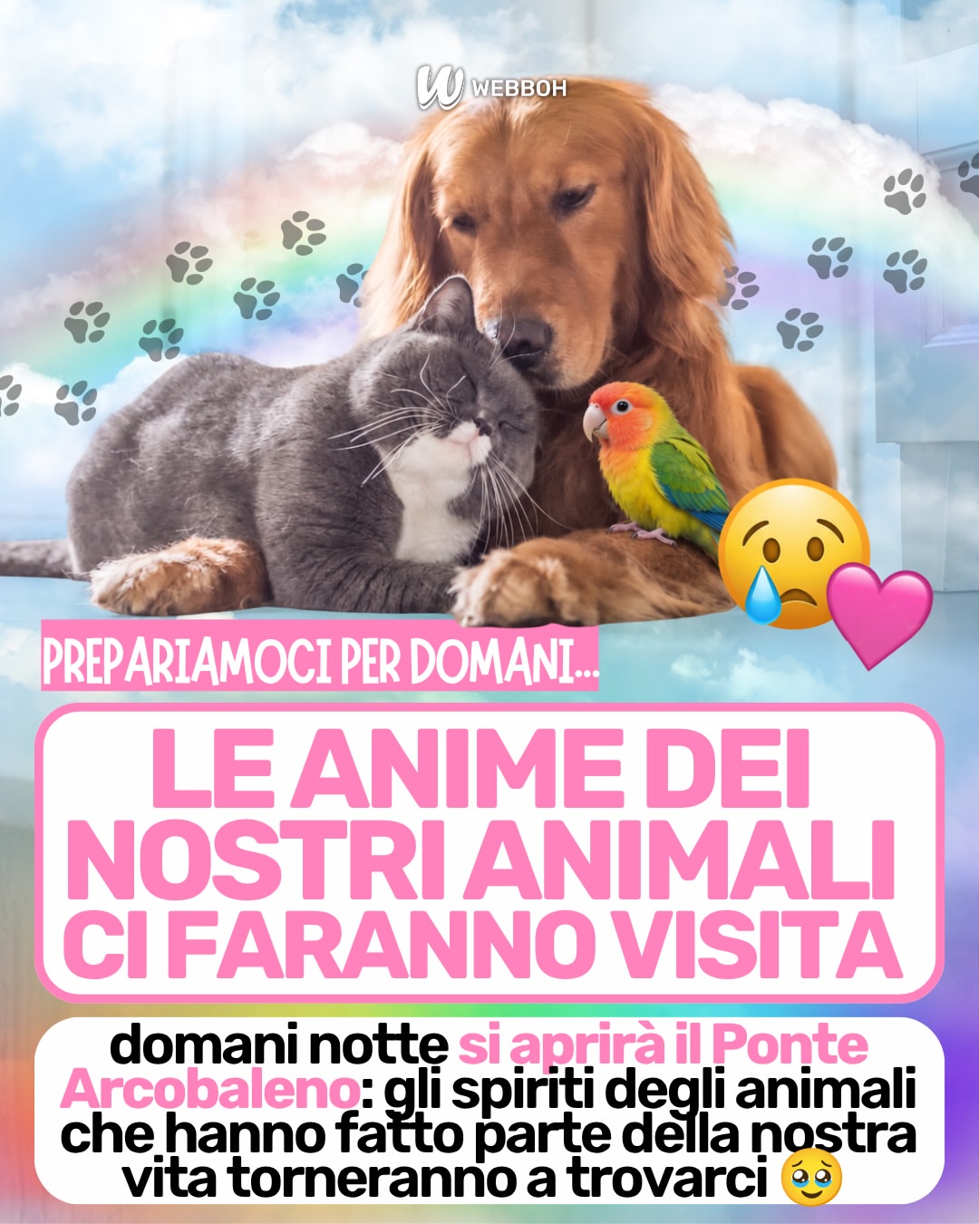 🌈 DOMANI PREPARIAMOCI: I NOSTRI AMICI ANIMALI POTREBBERO TORNARE A TROVARCI 🌈 ❤️‍🩹secondo alcune tradizioni legate al Día de Muertos, la notte tra il 26 e il 27 ottobre è dedicata alle anime dei nostri amici animal…
