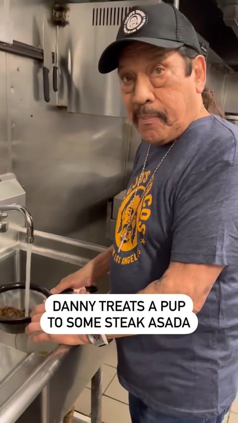 Dogs are always welcome at Trejo’s Tacos! 🌮 #tacos #dogsarethebest