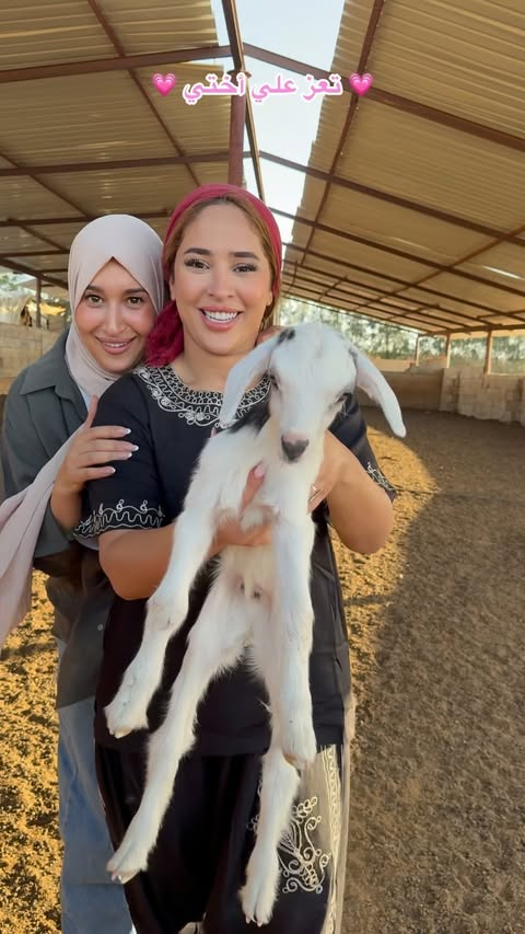 ⁨ ⁨ ⁨ ⁨ فيديو مهدى إلى كل الأخوات ؟ احضري أختك إلى هنا و اخبريها كم هي عزيزة عليك 💖⁩⁩ 📍 غرداية ‪‪@ferme_habib‬‬⁩⁩