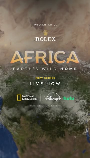 A simple branch becomes a fishing rod in the hands of these resourceful chimpanzees. This technique allows them to harvest algae without getting wet. Through its partnership with the National Geographic Society and as…