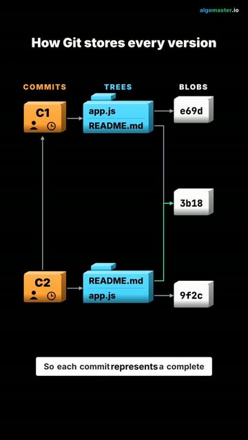 How Git stores file versions #git #interview #algomaster
