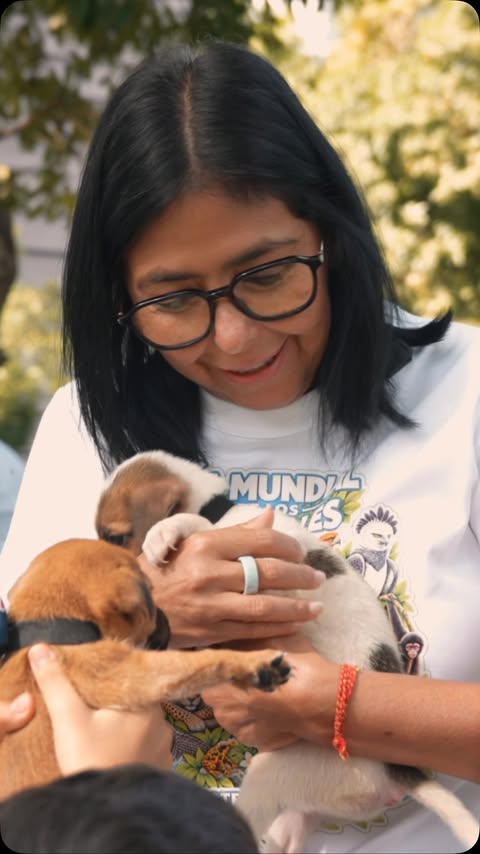 ¡Feliz Día Mundial de los Animales! En Venezuela reafirmamos nuestro compromiso con el bienestar y la protección de la fauna. Desde la Misión Nevado, promovemos una cultura de amor, respeto y cuidado, enseñando a los …