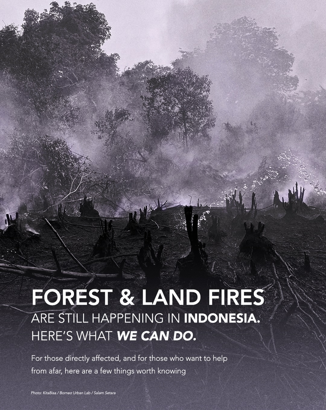 Forest and land fires are still happening across Indonesia. While we may not be able to control everything, there are simple steps we can take to stay safe and care for the people around us. Share this with someone wh…