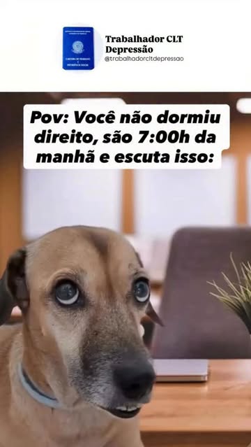 Você não dormiu direito, são 7h da manhã e você já escuta: “Amigaaaa…” 😭😂 Amiga??? Nesse horário eu ainda não reconheci nem a mim mesma. 😂 Tem gente que chega no trabalho pronta para conversar, contar a vida inteir…