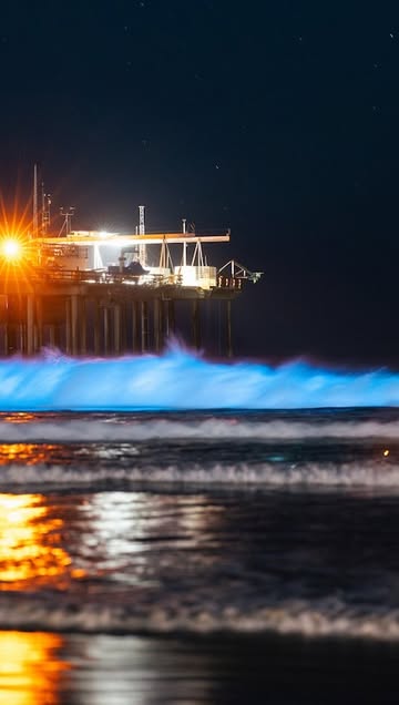 ✨ 🌊 Bioluminescence lovers, you’re going to want to watch this video! Meet @erikjepsen, the photographer for @UCSanDiego and San Diego bioluminescence’s number one fan! Any time the waters of San Diego are aglow, you…