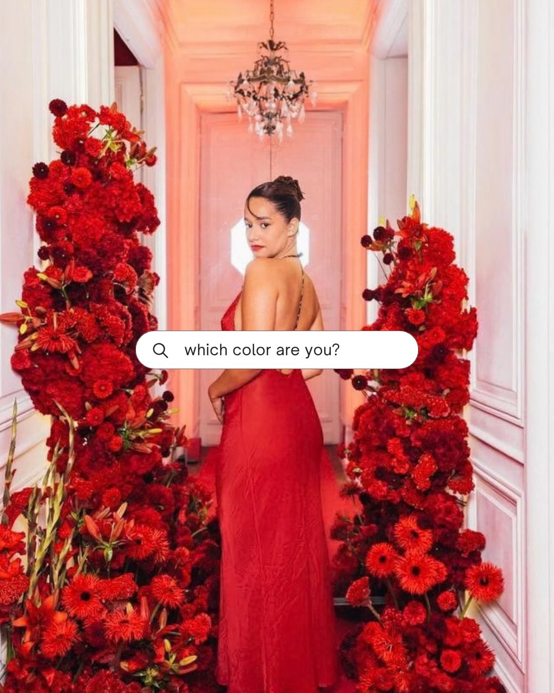 Et si la couleur qui vous va le mieux au teint n’est pas ici, elle se trouve sûrement sur hotelmahfouf.com 🌈