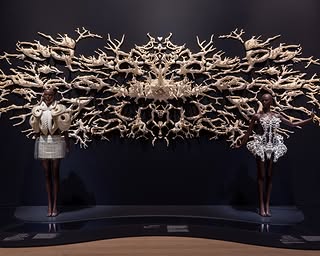 A closer look into Iris van Herpen: Sculpting the Senses at the @BrooklynMuseum in New York. Throughout the galleries, more than 140 Haute Couture creations are placed in dialogue with contemporary artworks, scientifi…
