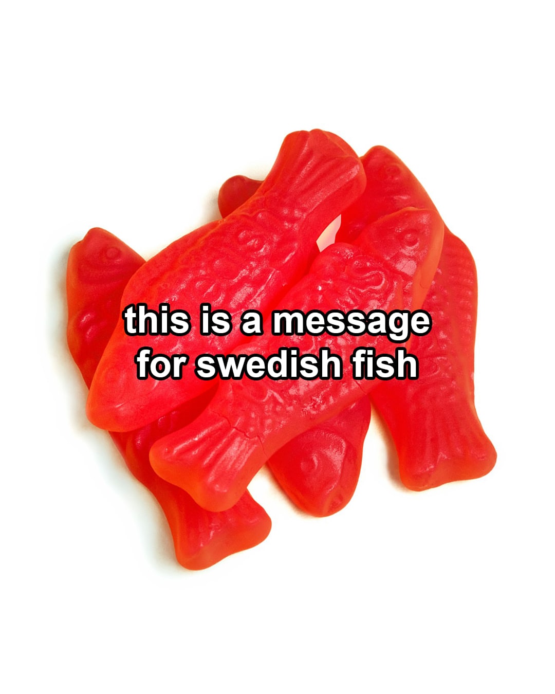 SOUR BETTER (that fish wishes)