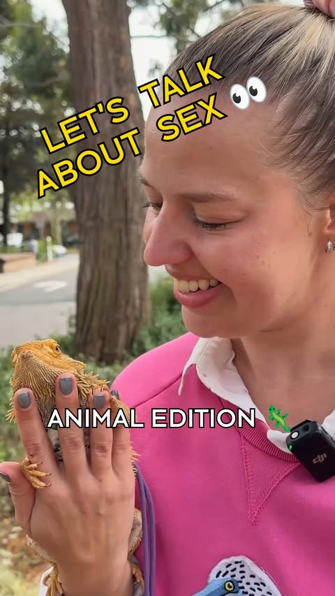 the birds and the bees have nothing on this Dr Anastasia Shavrova has some things to tell you about the strange sex lives of animals 👀