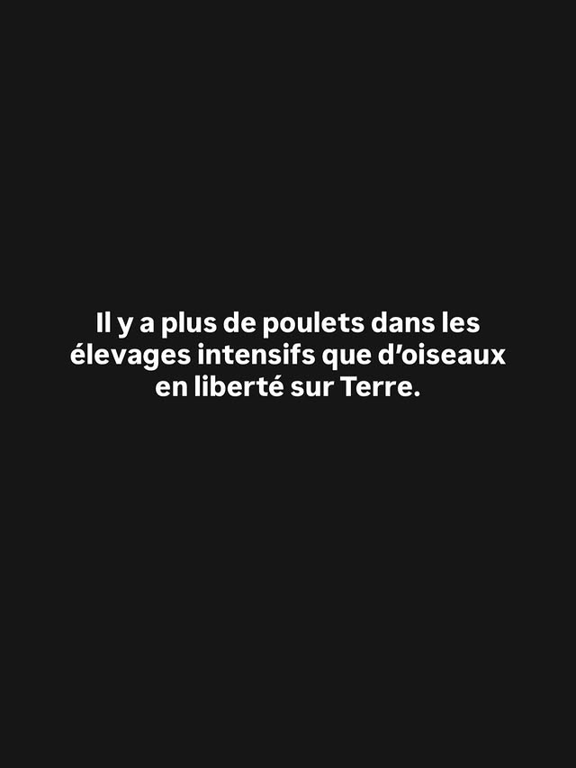À quoi bon régner sur un cimetière ? On estime la population d’oiseaux sauvages à environ 50 millards d’individus. Dans le même temps, chaque année, ce sont environ 80 milliards de poulets qui sont abattus dans le mon…