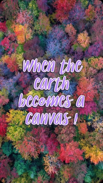A Beautiful Chaos of Colors 🍃🍁