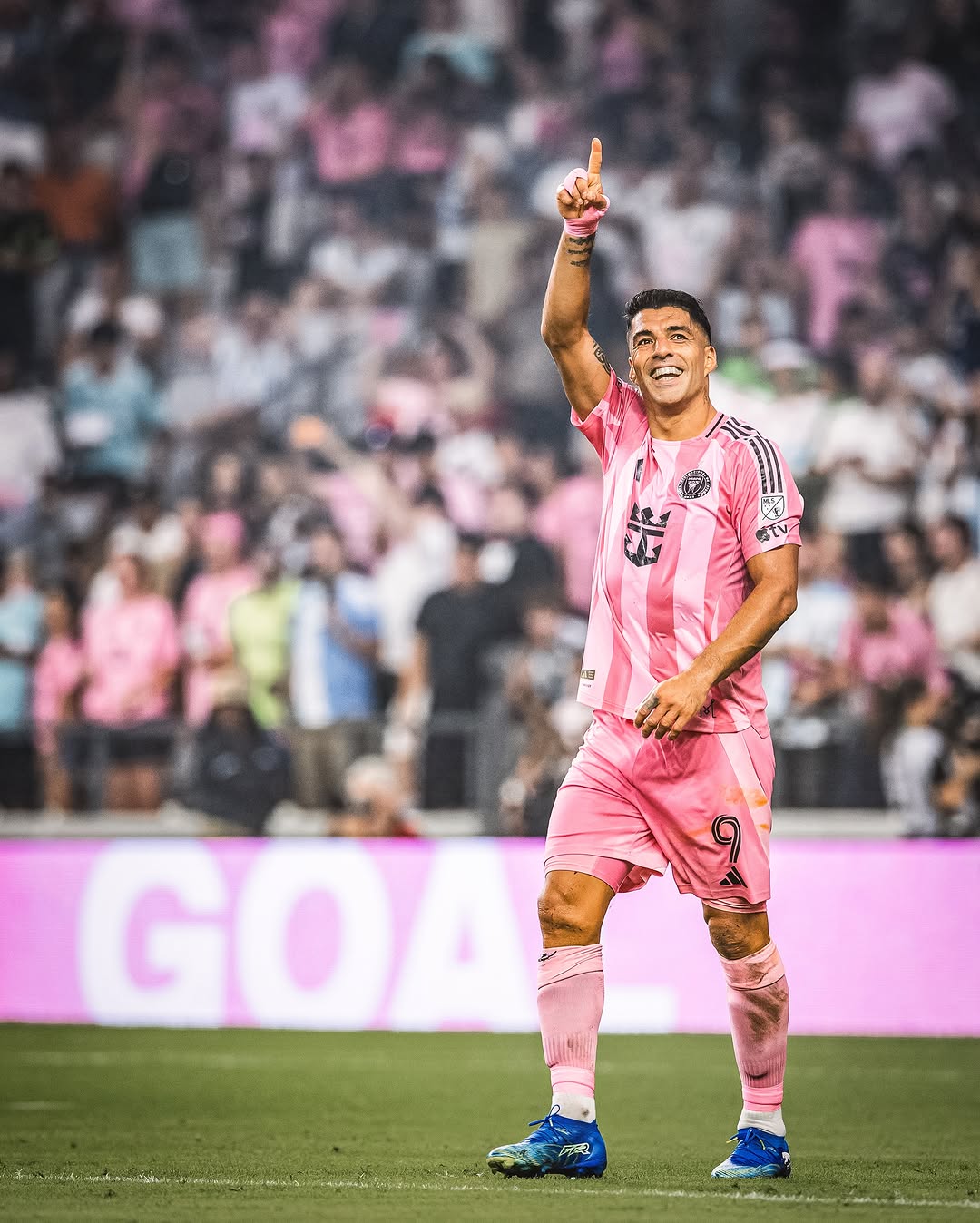 Ganar y seguir 🦩