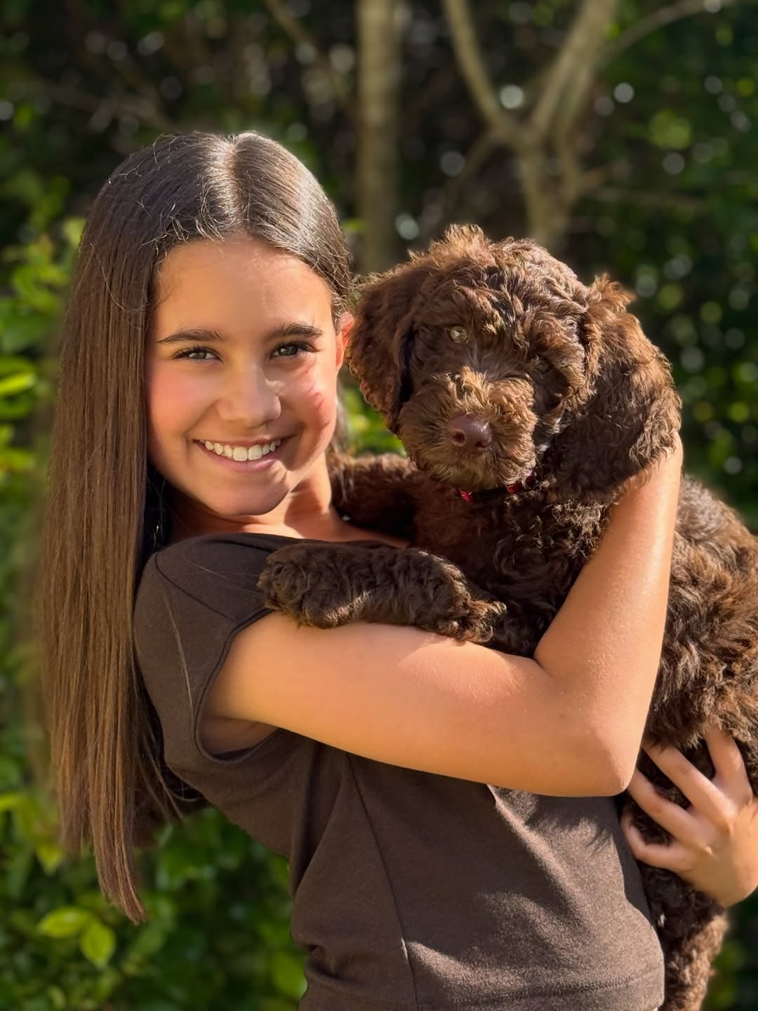 Meet the newest member of our family, Moose. Zara’s been wanting a puppy for a few years so she is over the moon! We’re delighted to have our lil chocolate Moose join our family. 🐶🫎 #groodle #puppy