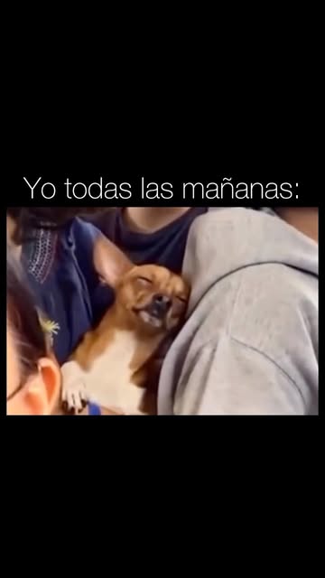 😴 #soygodin #godinez #vidagodin #trabajo #soygodinez esdegodinez godinezlife soygodinyque