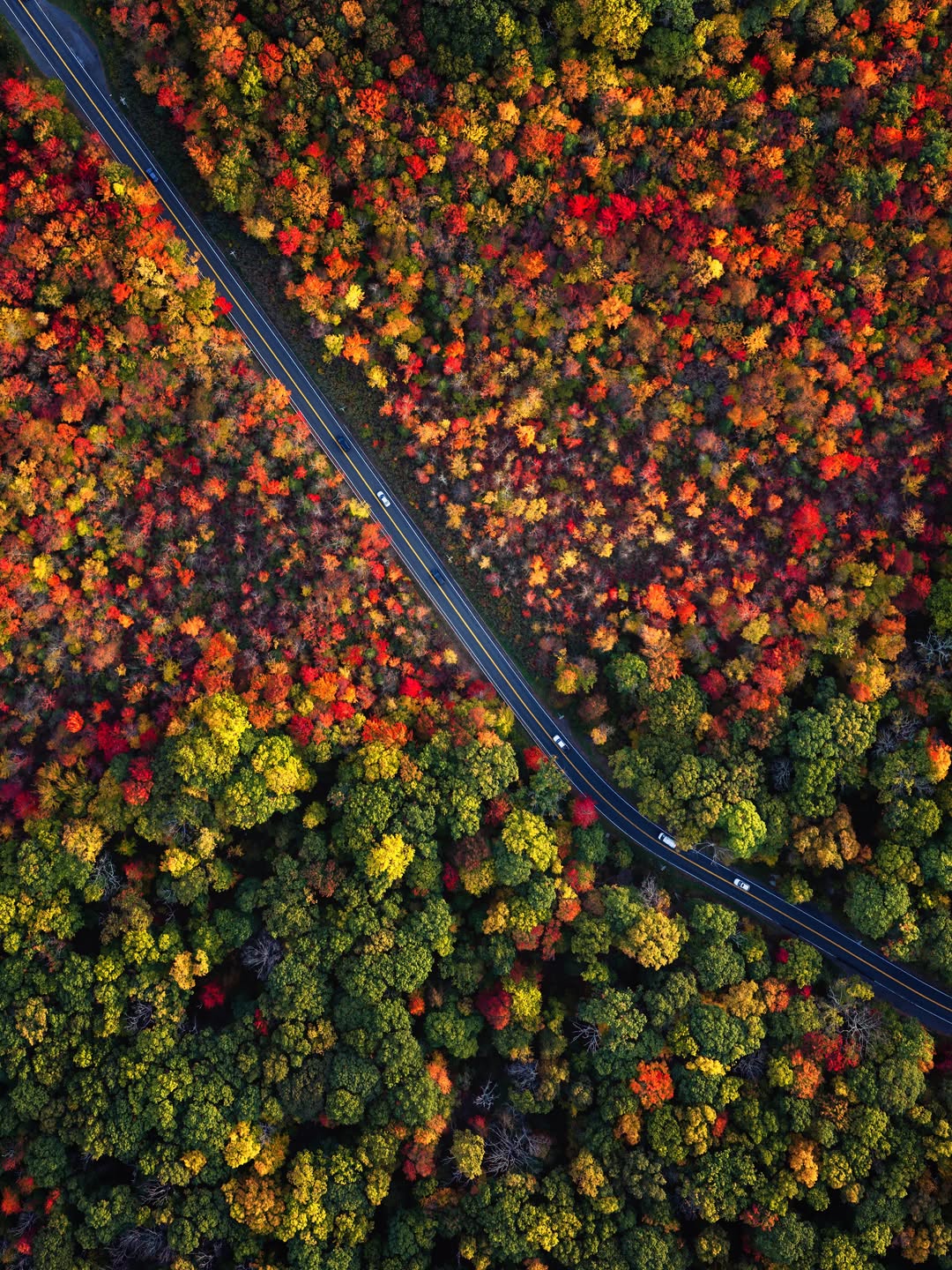 Somewhere between the changing colors and the quiet roads, autumn creates its own masterpiece.🍁🍃🍂 Tell me in the comments which one is your favorite 🙌🏼