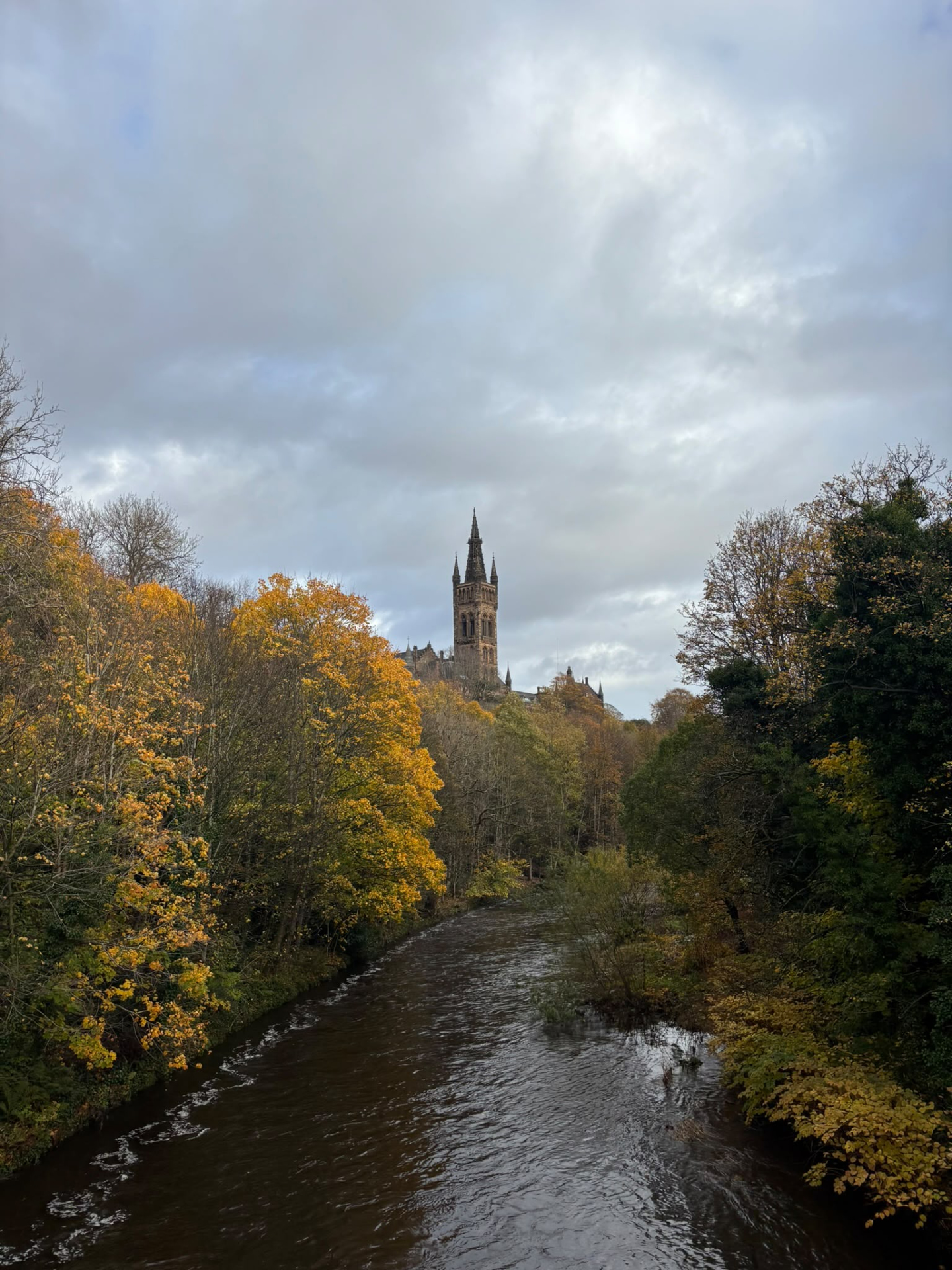 Autumn never seems to last long enough! 🍂 The leaves might be starting to disappear, but we’re enjoying every last bit of colour on campus while we can. Photos captured by UofG student @cecilia_corey this October ❤️ …