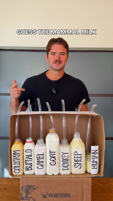 he earned a goal medal in the #milkchallenge S/O to Amos Miller Organic Farm for all the A2 fresh animal milks & our queen mother @melaniesfavethings for donating her own 🥛