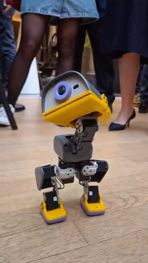 Our Paris reception had a very cute plus one. 🦆 Meet Microduck. @pollenrobotics