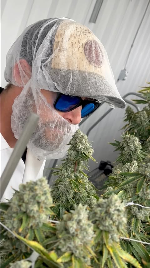 Live from the grow ⛽💯🌳 🎥: @trulieve