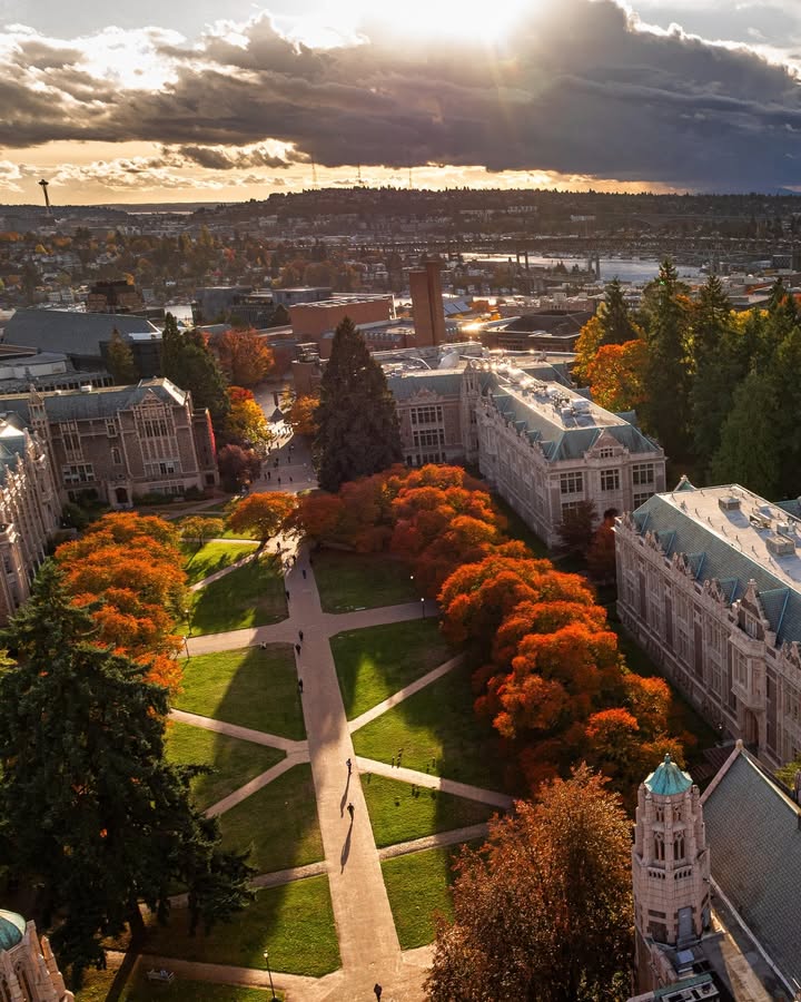 A world-class education at a leading value. The University of Washington was recently ranked no. 9 nationally for best value for in-state students by U.S. News and World Report.