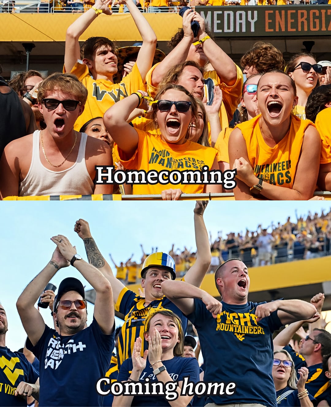 Home is where the Mountaineers are! 💛💙