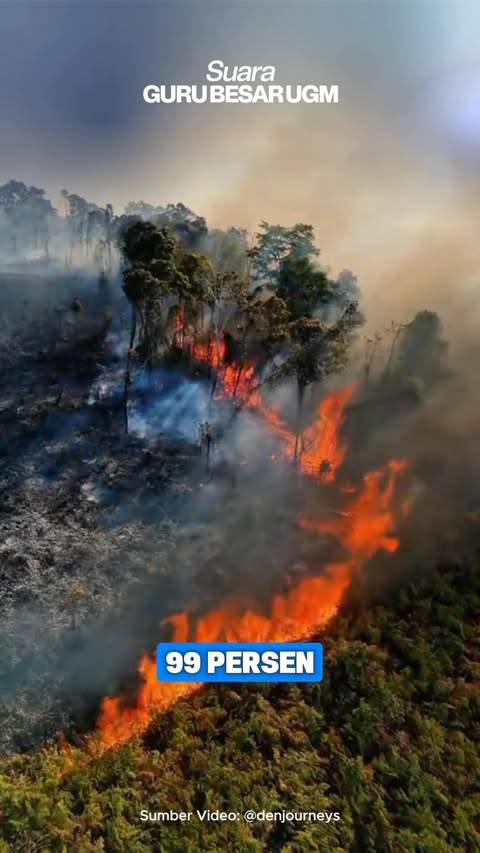 Hutan bukan sekadar hamparan pepohonan, tetapi bagian penting dari kehidupan dan peradaban. 🌿 Menjaga hutan dan biodiversitas adalah tanggung jawab kita bersama. Sebab, menjaga alam berarti turut menjaga keberlangsun…