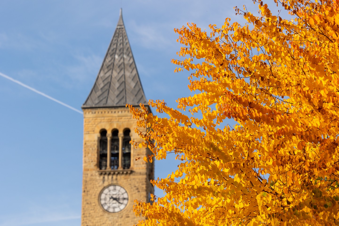 The bonds you made here tend to last a lifetime. This Homecoming, reconnect with a classmate, a mentor, or a friend, wherever you are.