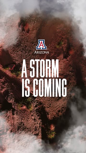 A new tradition is on the horizon. 😼 Discover what's coming on Nov. 6. Link in bio.