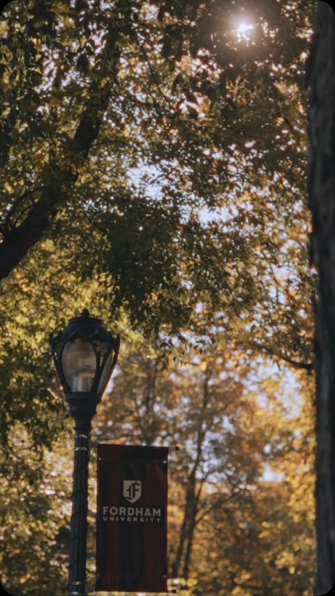 It’s starting to feel like Fall🍂🍁 #fordhamuniversity #nyc #fall