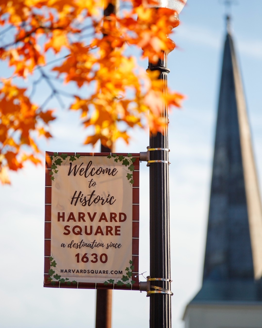 It's a beautiful time of year in Harvard Square 🍂 🍁 Photos: @graceduval/Harvard University