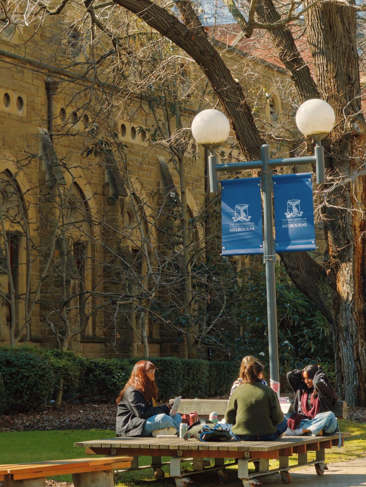A moment for our Parkville campus 😌 📷 @rae_23333 #UniMelb #University