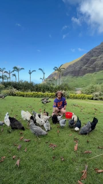 Dabaddest morning routine 🐣⛰️🥑🦜🐶🐢🏝️
