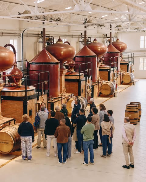 Every terroir has a story to tell. From the beauty of the vineyards to the secrets of the cellars, step inside and out to explore the world of LVMH Wines & Spirits Maisons. #LVMH #LesJournéesParticulières