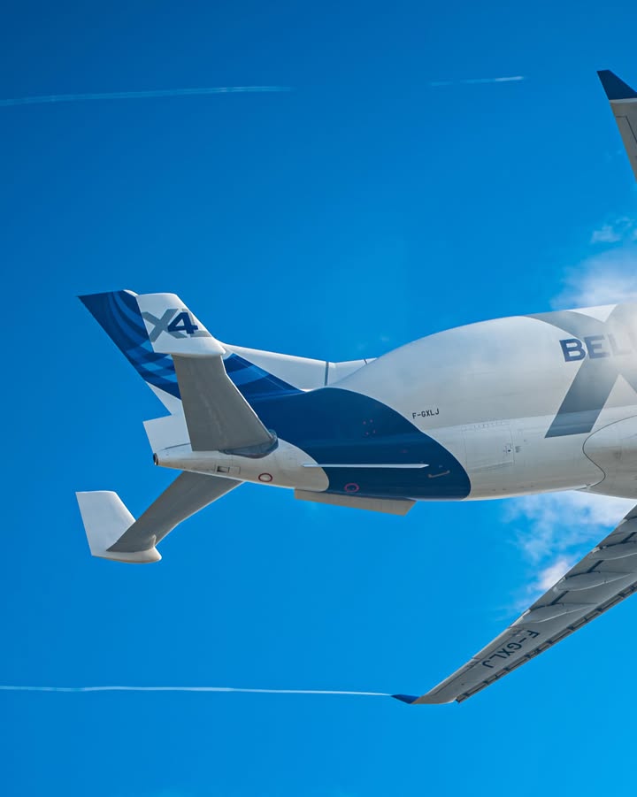 The #BelugaXL does more than carry aircraft parts between Airbus sites across Europe: she’s also pretty good at brightening up everyone’s day! 🐳 Send it to someone who needs a little BelugaXL vibe in their Monday 👇 …