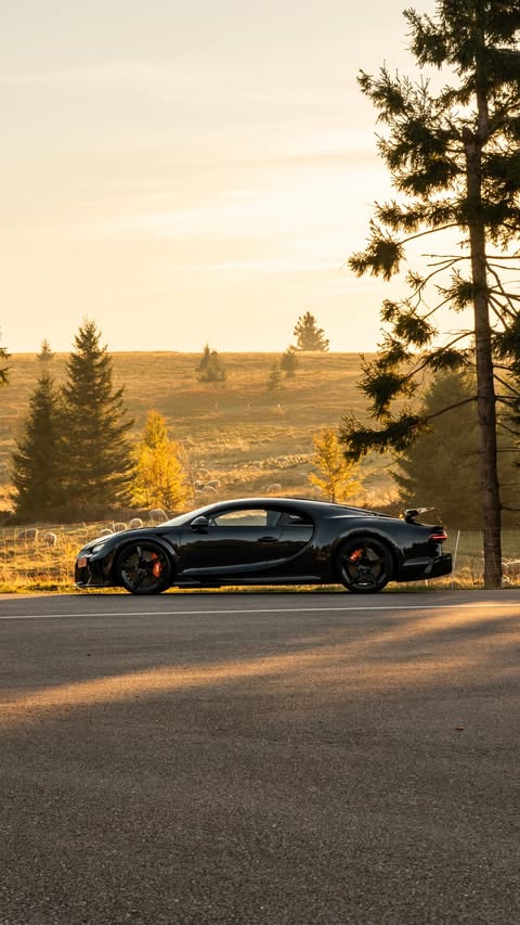 Do you know that feeling when you just have to get behind the wheel and revisit places you have seen countless times? We felt it too... Rediscovering Alsace behind the wheel of a Chiron never gets old. After the Champ…